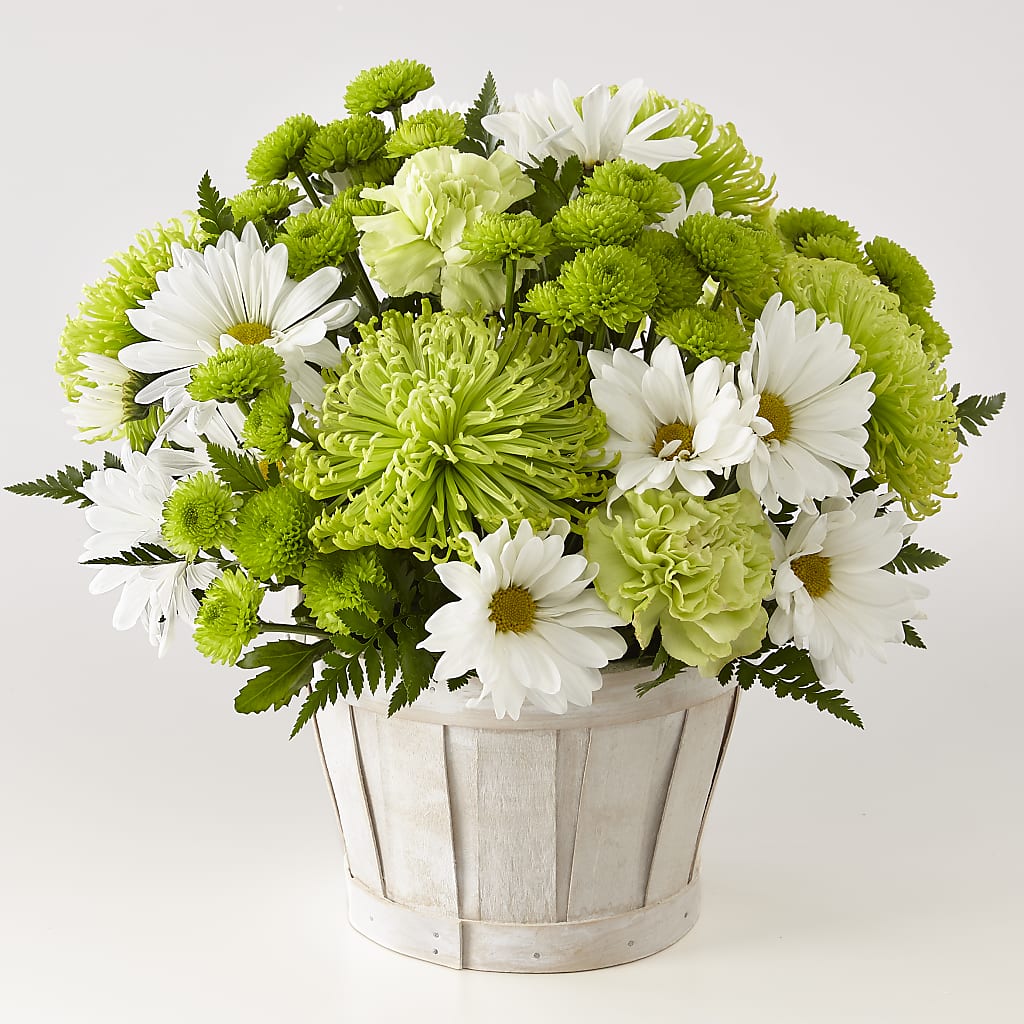 Lucky Charm Basket (Standard) – Ecuadorian Central Flower, Minneapolis MN