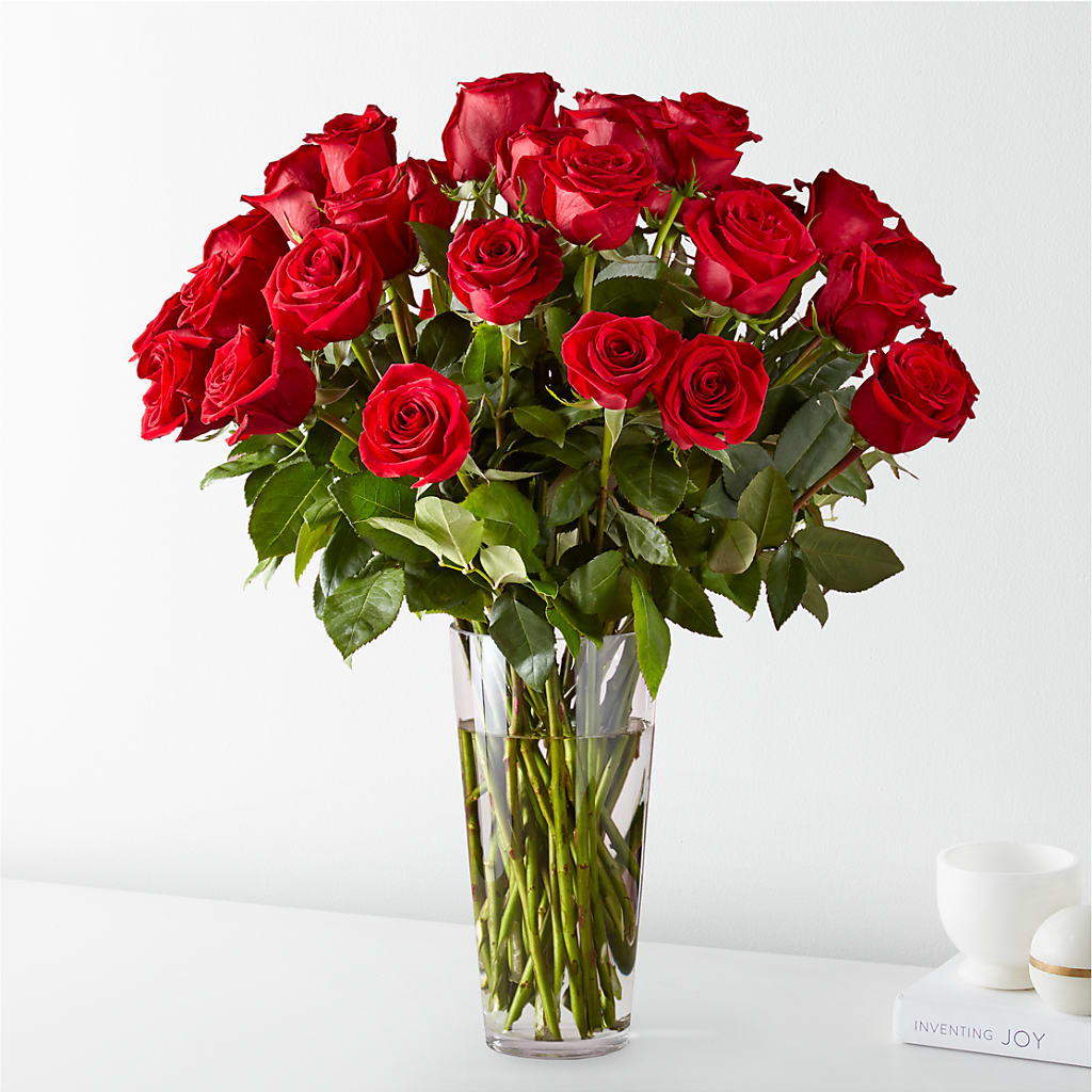 Long Stem Red Rose Bouquet – Ecuadorian Central Flower, Minneapolis MN