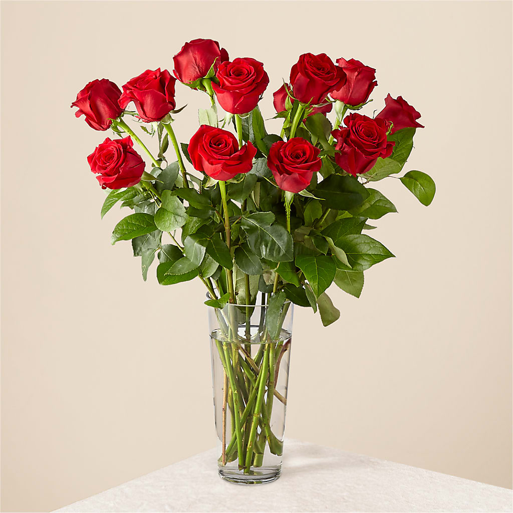 Long Stem Red Rose Bouquet – Ecuadorian Central Flower, Minneapolis MN