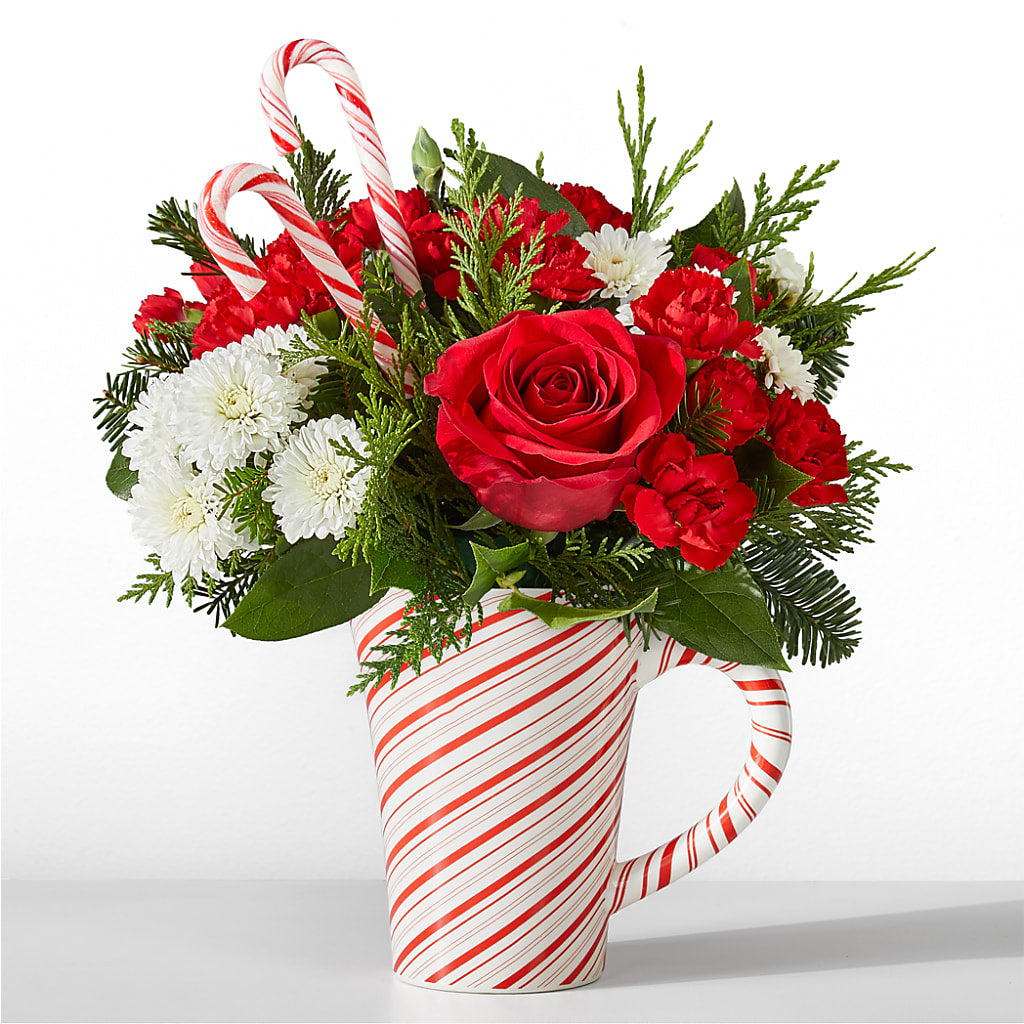 Peppermint Swirl Mug – Ecuadorian Central Flower, Minneapolis MN
