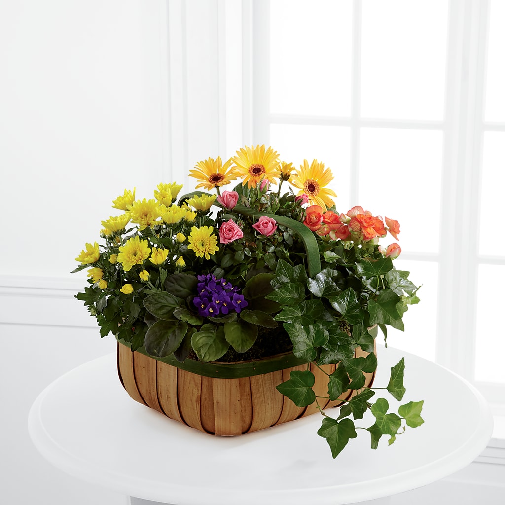 Gentle Blossoms Basket – Ecuadorian Central Flower, Minneapolis MN
