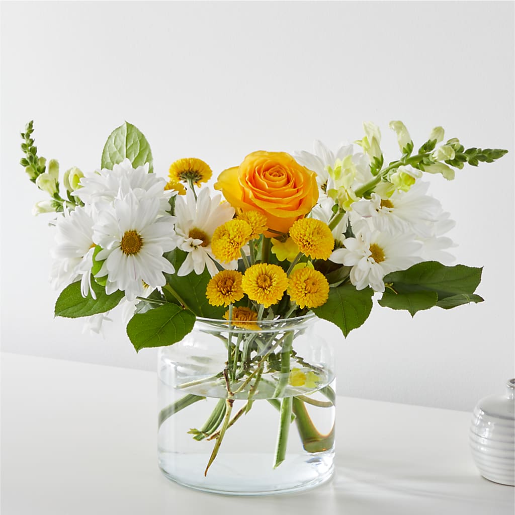 Sun Salutation Bouquet – Ecuadorian Central Flower, Minneapolis MN