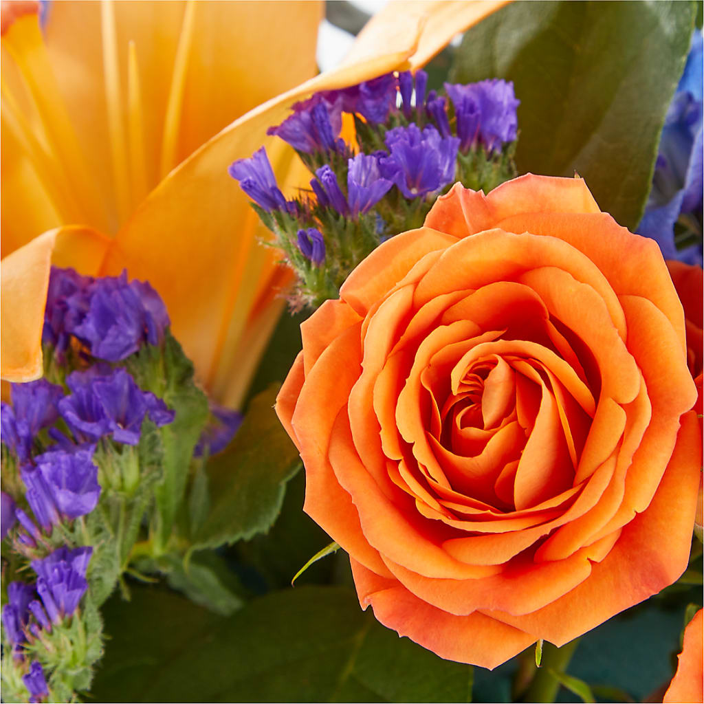 Radiant Citrus Box Bouquet – Ecuadorian Central Flower, Minneapolis MN