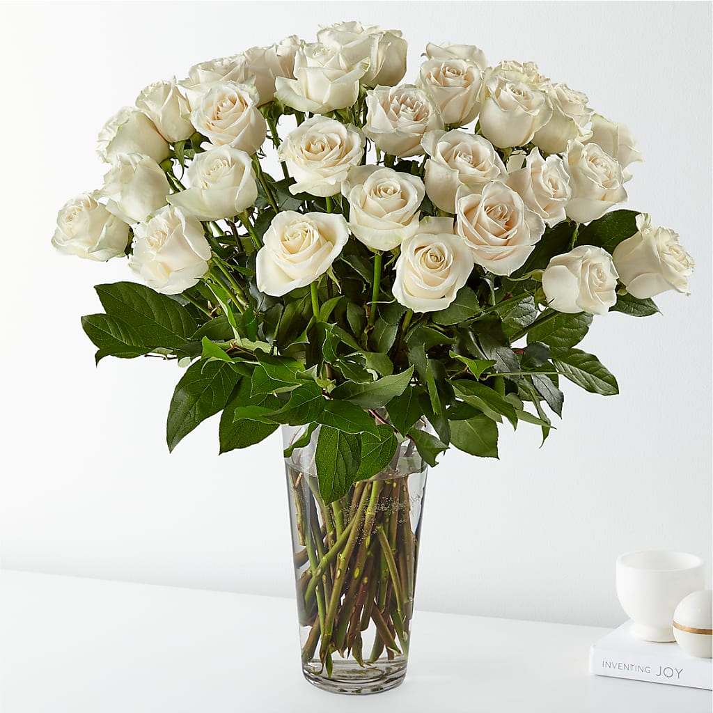 Long Stem White Rose Bouquet – Ecuadorian Central Flower, Minneapolis MN
