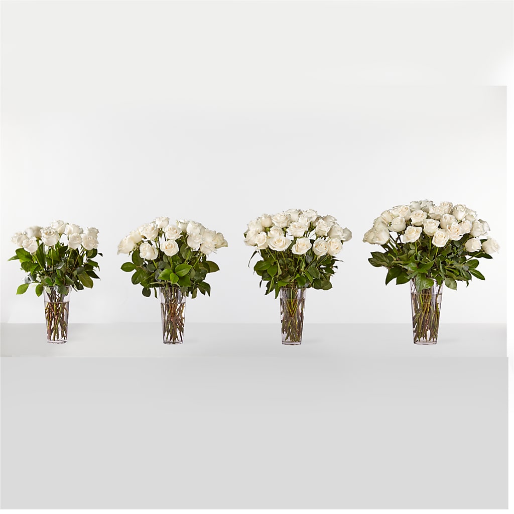 Long Stem White Rose Bouquet – Ecuadorian Central Flower, Minneapolis MN