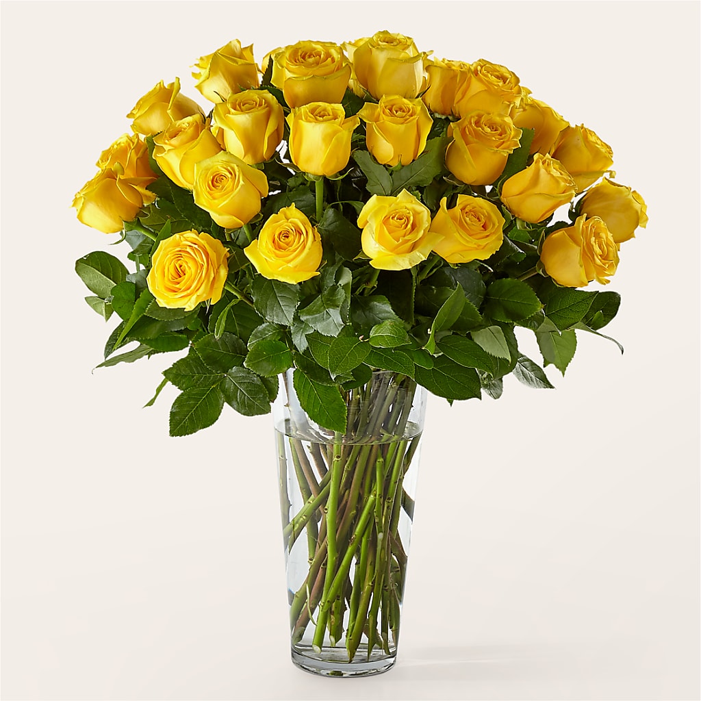 Long Stem Yellow Rose Bouquet – Ecuadorian Central Flower, Minneapolis MN