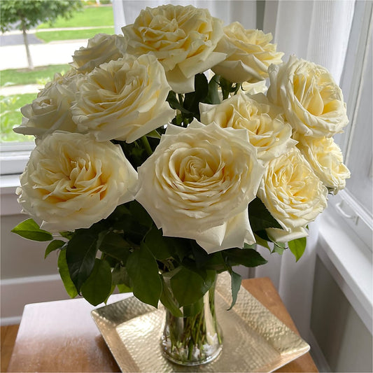 Long Stem Yellow Rose Bouquet – Ecuadorian Central Flower, Minneapolis MN
