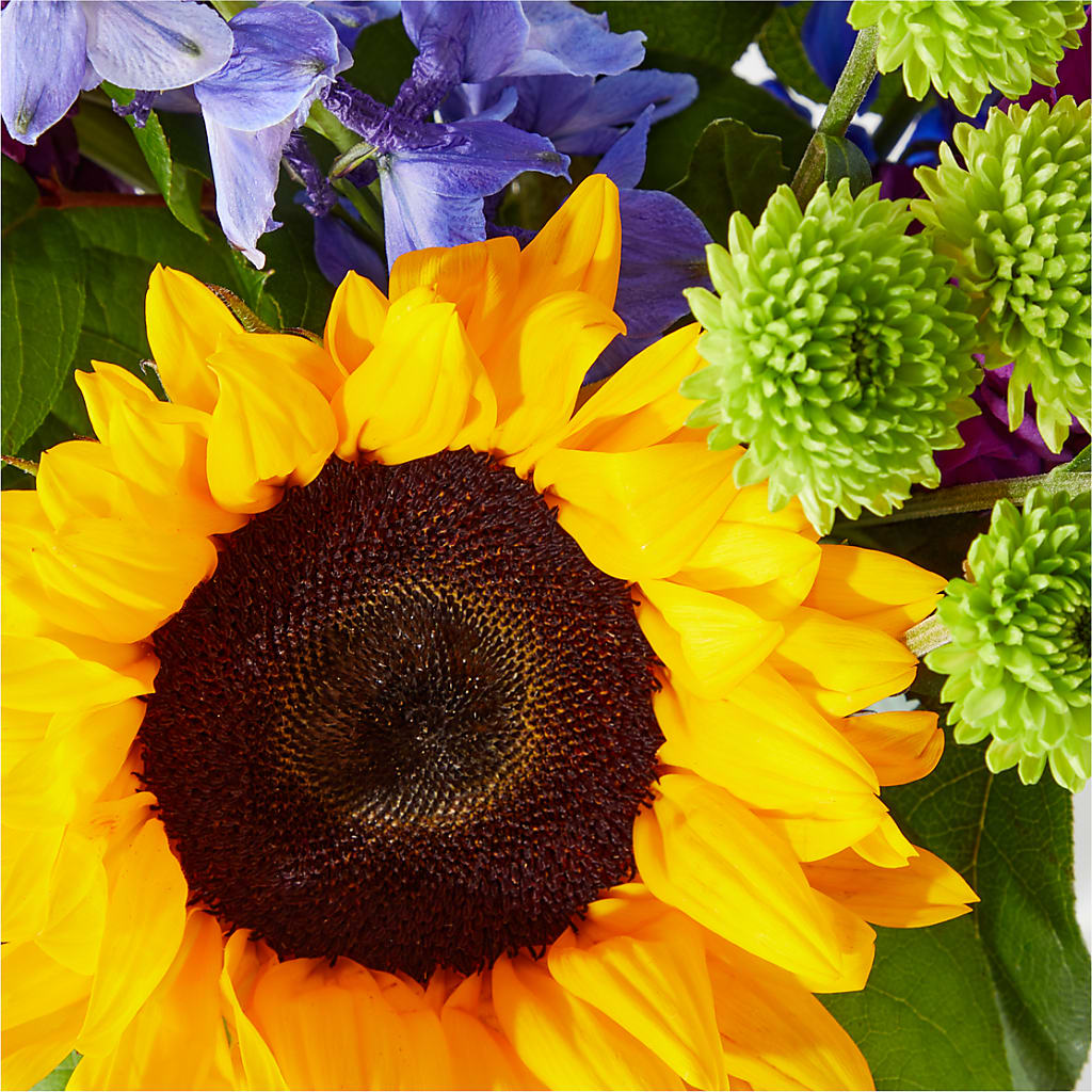 Catching Rays Bouquet – Ecuadorian Central Flower, Minneapolis MN