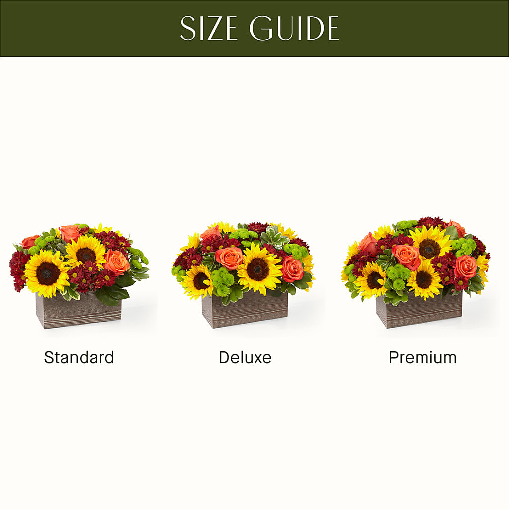 Happy Harvest Garden – Ecuadorian Central Flower, Minneapolis MN