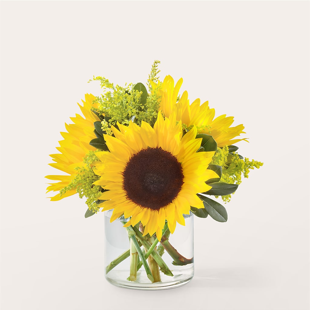 Beaming Sunflower Bouquet – Ecuadorian Central Flower, Minneapolis MN