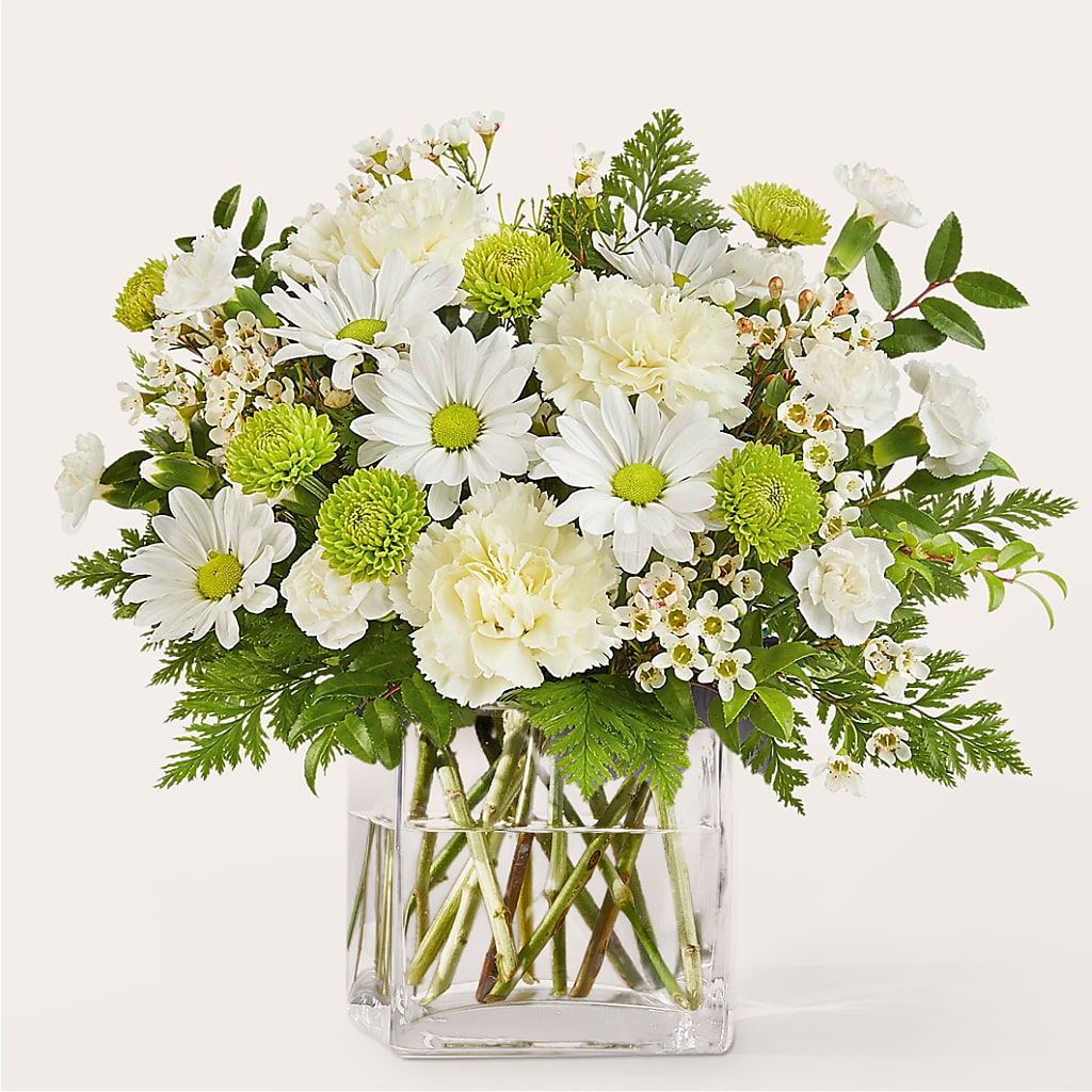 Momentary Meditation Bouquet – Ecuadorian Central Flower, Minneapolis MN