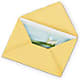 Greeting Card – Ecuadorian Central Flower, Minneapolis MN