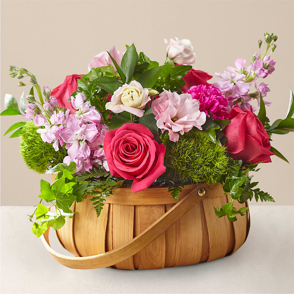 Radiance in Bloom Basket – Ecuadorian Central Flower, Minneapolis MN