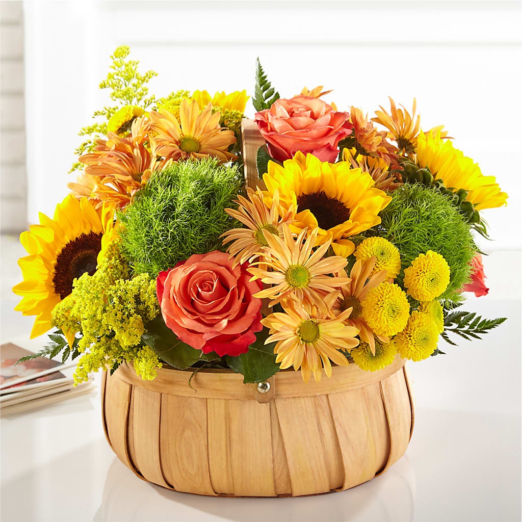 Harvest Sunflower Basket – Ecuadorian Central Flower, Minneapolis MN