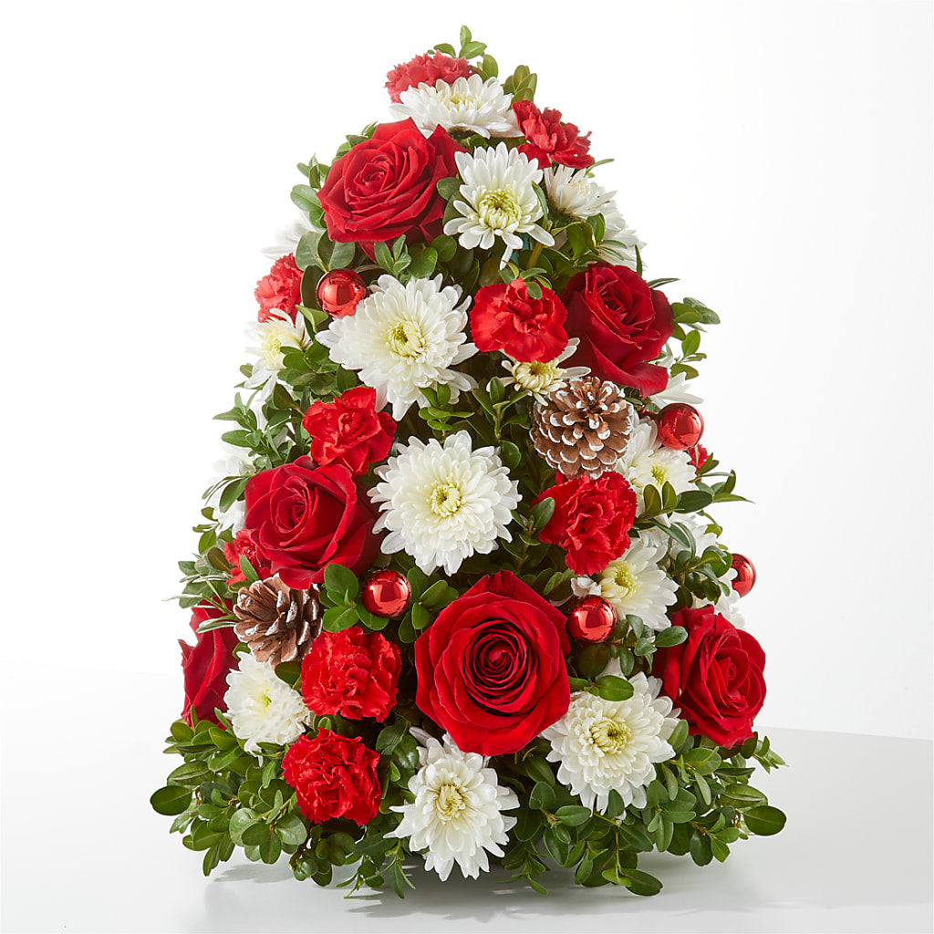Let It Snow Tree – Ecuadorian Central Flower, Minneapolis MN
