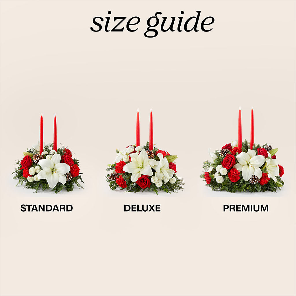 Seasonal Festivities Centerpiece – Ecuadorian Central Flower, Minneapolis MN