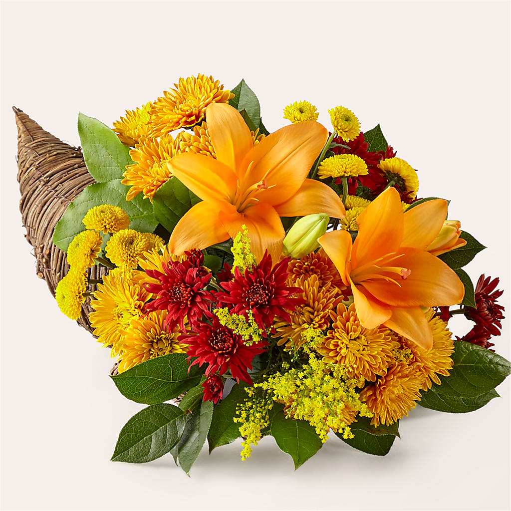Feast of Color Cornucopia – Ecuadorian Central Flower, Minneapolis MN