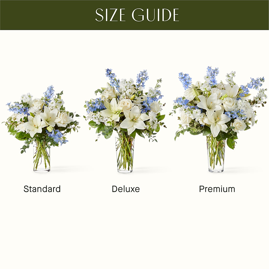 Peace of Mind Bouquet – Ecuadorian Central Flower, Minneapolis MN