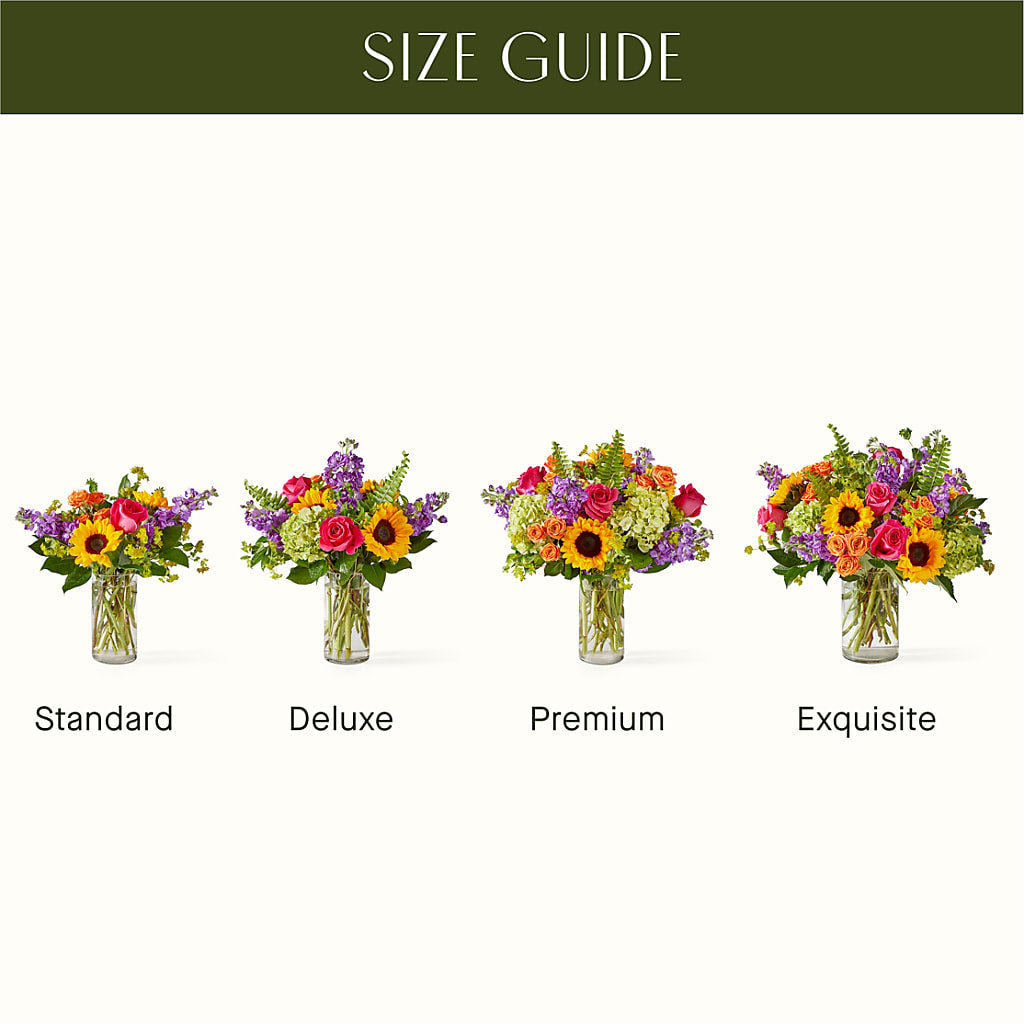 Vibrant Greetings Bouquet – Ecuadorian Central Flower, Minneapolis MN