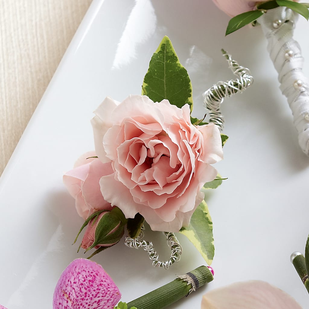 Pink Spray Rose Boutonniere – Ecuadorian Central Flower, Minneapolis MN
