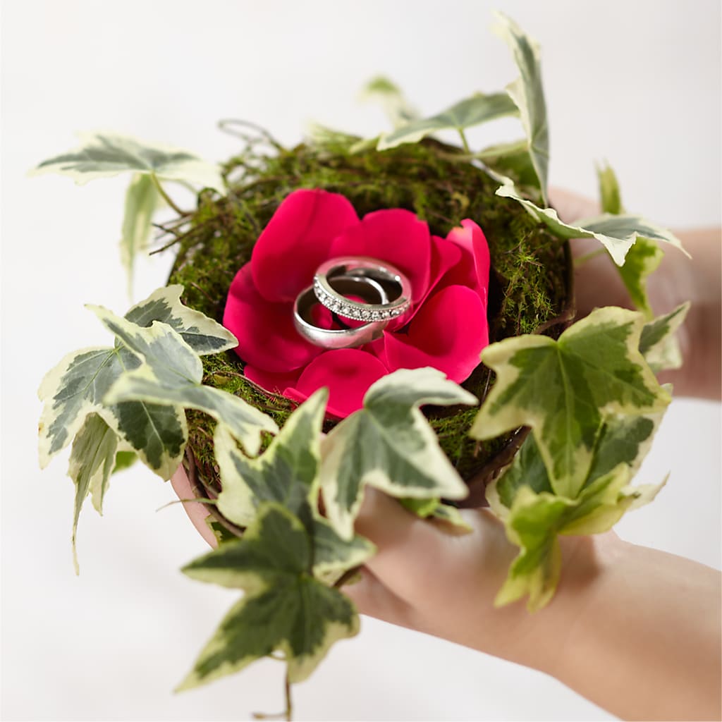 Lila Rose Ring Nest – Ecuadorian Central Flower, Minneapolis MN