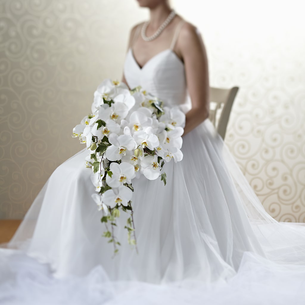 Classic White Bouquet – Ecuadorian Central Flower, Minneapolis MN