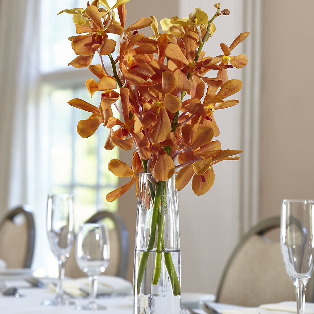 Orange Mokara Bud Vase – Ecuadorian Central Flower, Minneapolis MN