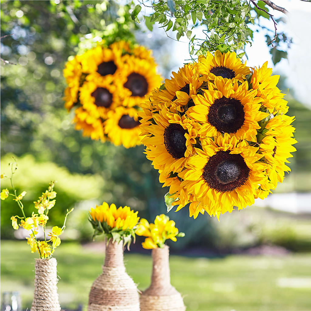 Sublime Garden Hanging Arrangement – Ecuadorian Central Flower, Minneapolis MN