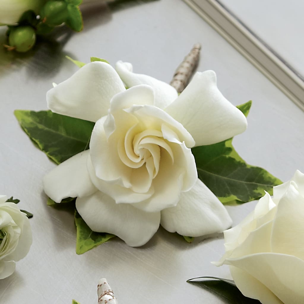 Gardenia Boutonniere – Ecuadorian Central Flower, Minneapolis MN