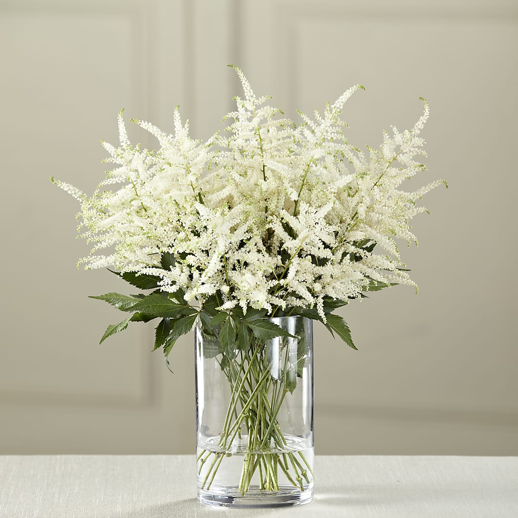 White Astilbe Bouquet – Ecuadorian Central Flower, Minneapolis MN