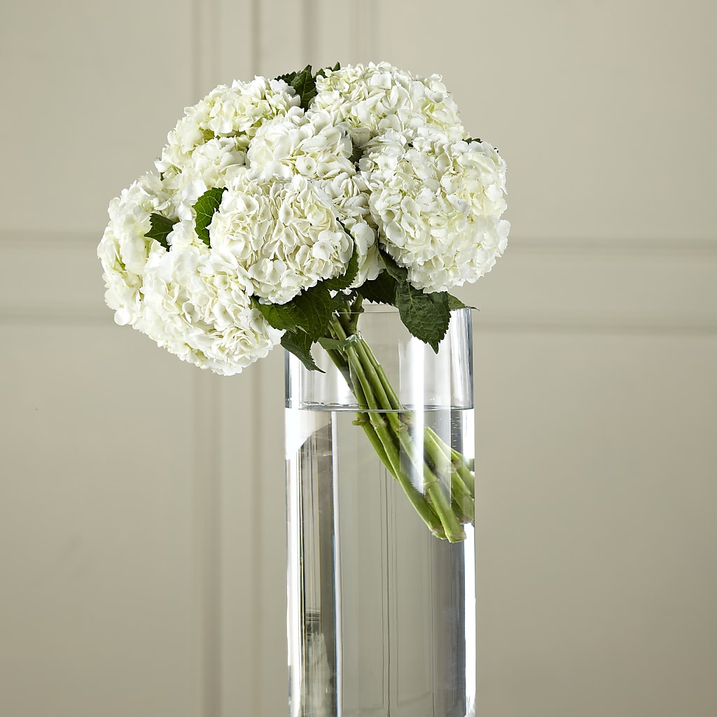 White Hydrangea Hand-Tied Bouquet – Ecuadorian Central Flower, Minneapolis MN