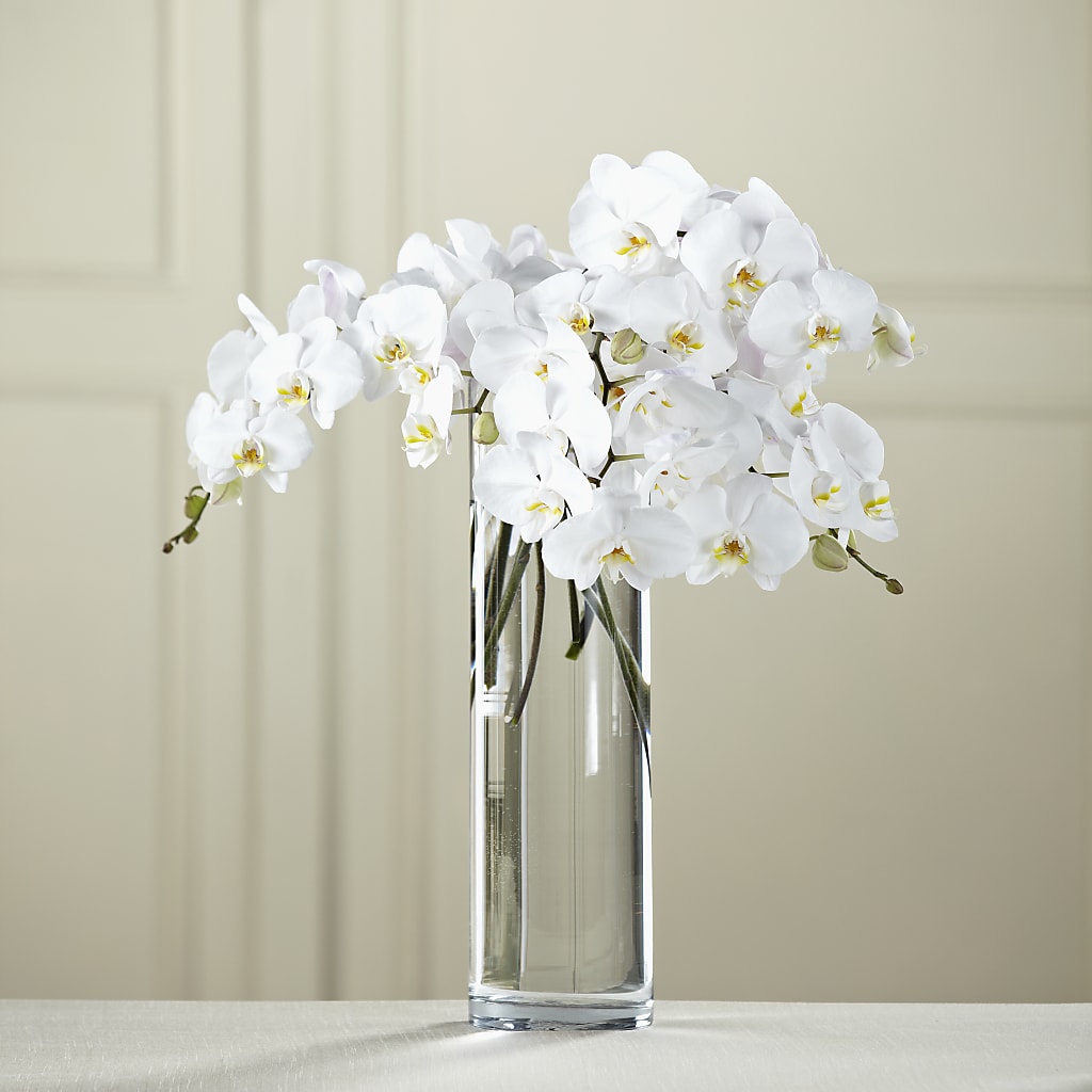 White Phalaenopsis Bouquet – Ecuadorian Central Flower, Minneapolis MN