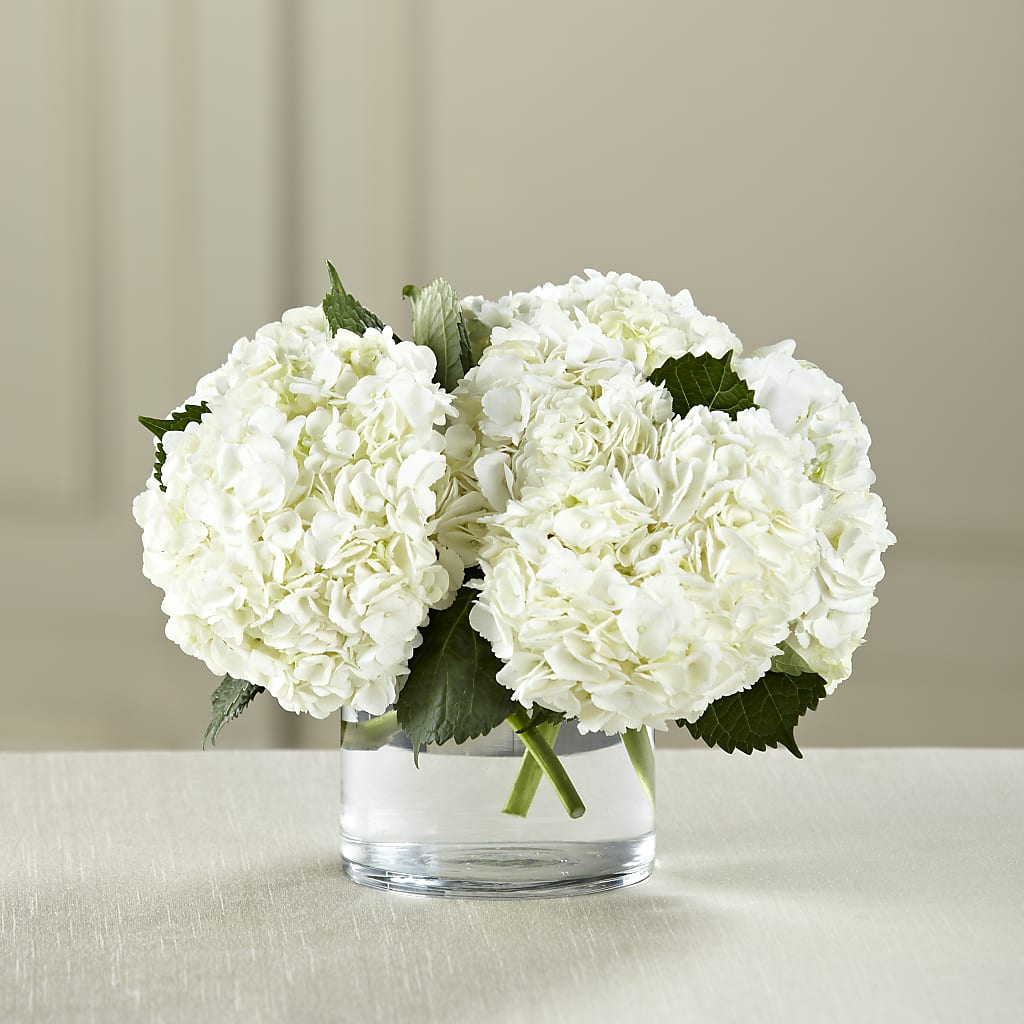 White Hydrangea Bouquet – Ecuadorian Central Flower, Minneapolis MN