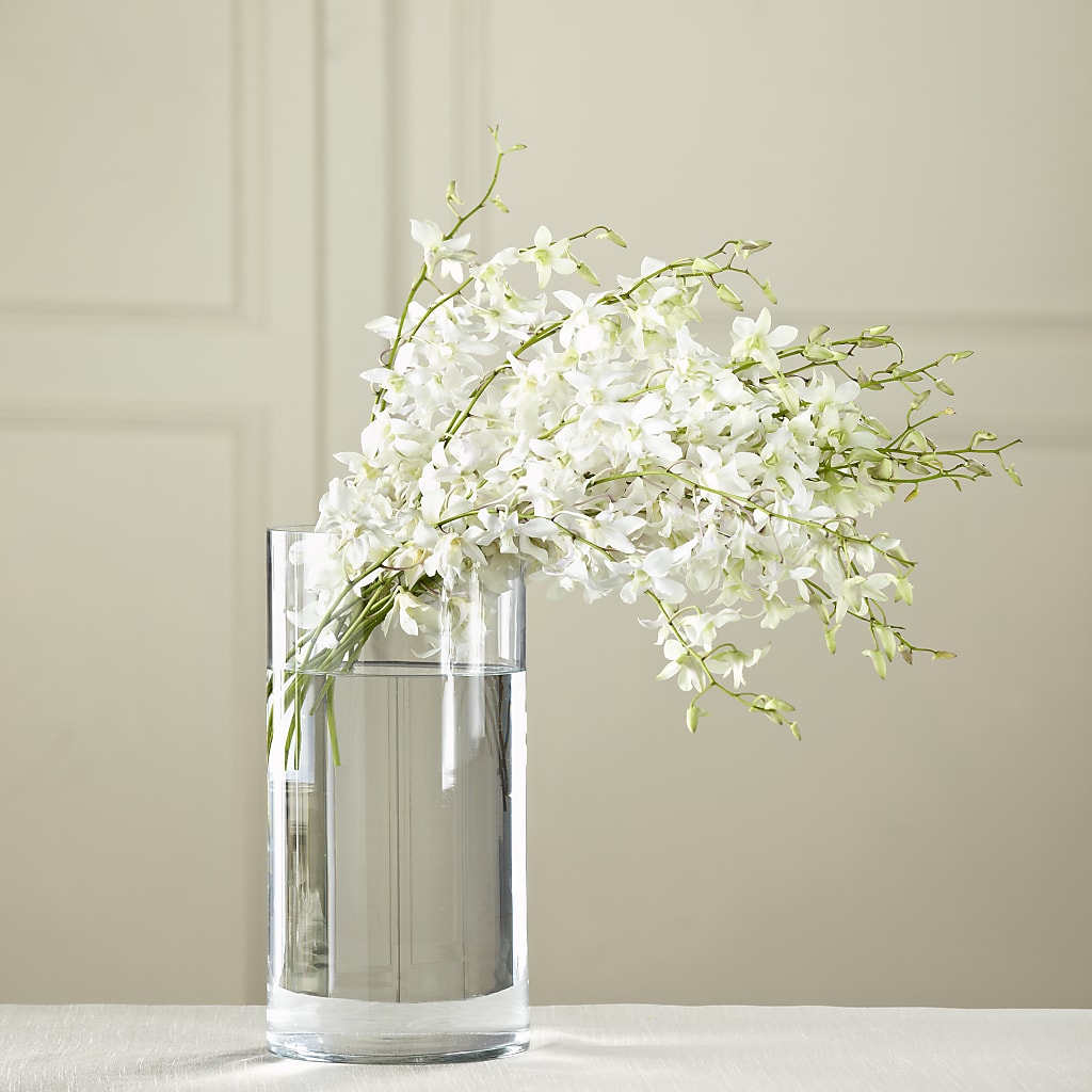 White Dendrobium Bouquet – Ecuadorian Central Flower, Minneapolis MN