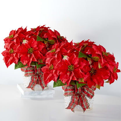 Happiest Holidays Poinsettia Bundle –  Ecuadorian Central Flower, Minneapolis MN