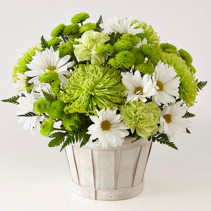 Lucky Charm Basket (Standard) –  Ecuadorian Central Flower, Minneapolis MN