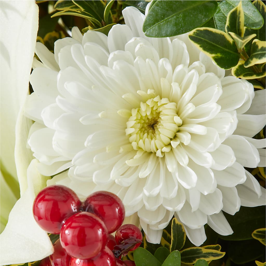 Festive Moments Tree –  Ecuadorian Central Flower, Minneapolis MN