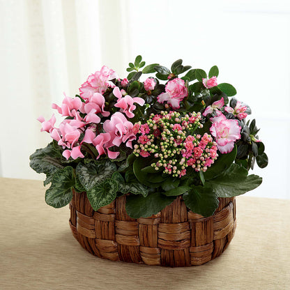 Pink Assortment –  Ecuadorian Central Flower, Minneapolis MN