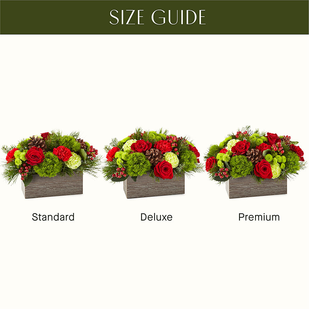 Bundled Up Bouquet –  Ecuadorian Central Flower, Minneapolis MN