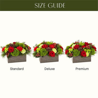Bundled Up Bouquet –  Ecuadorian Central Flower, Minneapolis MN