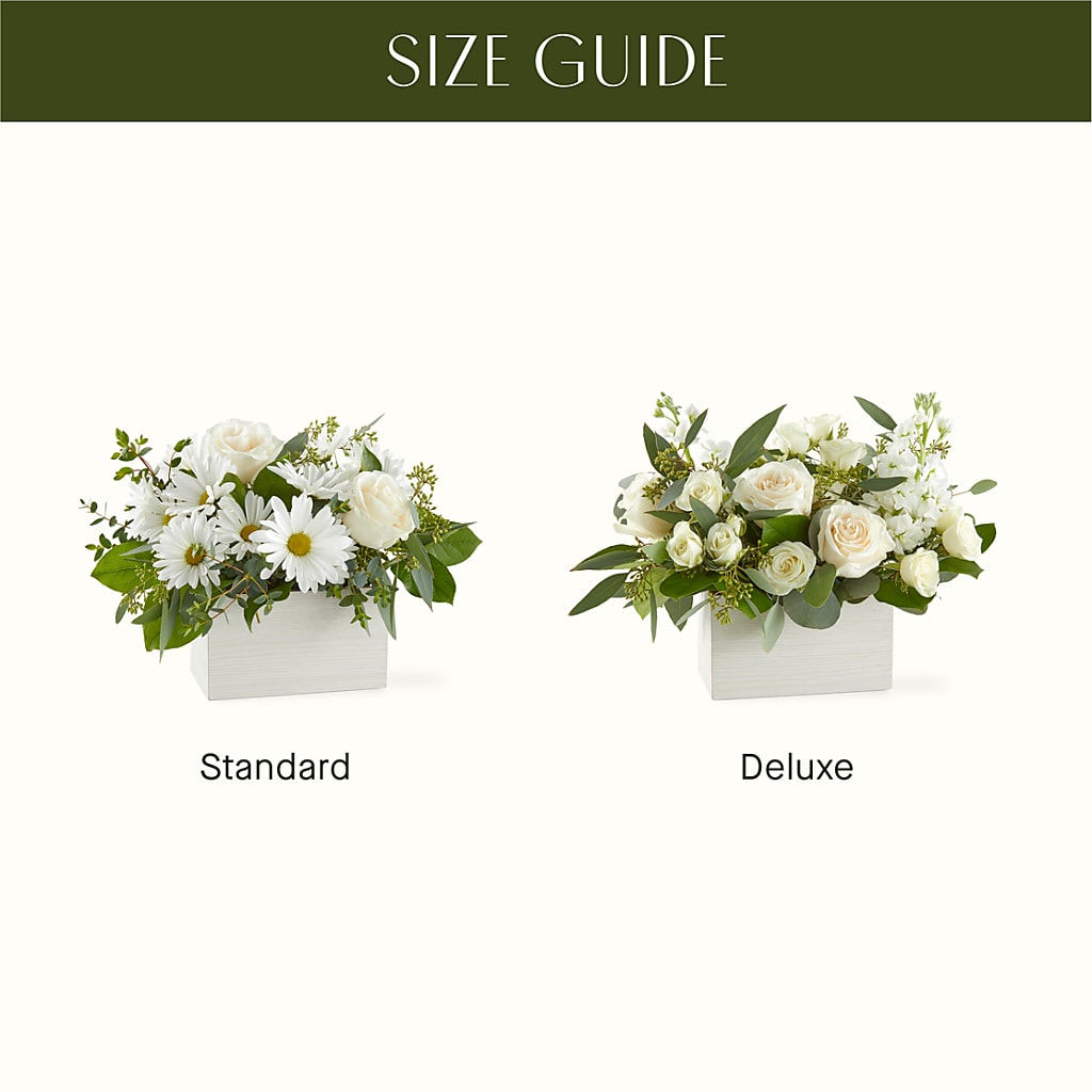 Fresh Linen Box Bouquet –  Ecuadorian Central Flower, Minneapolis MN