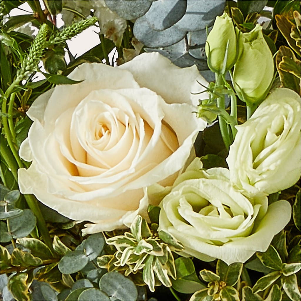 Cashmere Bouquet –  Ecuadorian Central Flower, Minneapolis MN