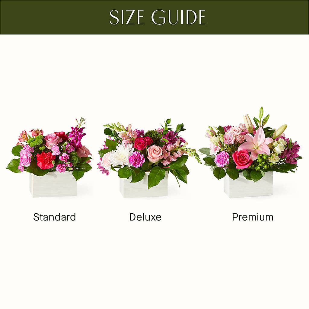 Sweetberry Box – A Florist Original –  Ecuadorian Central Flower, Minneapolis MN