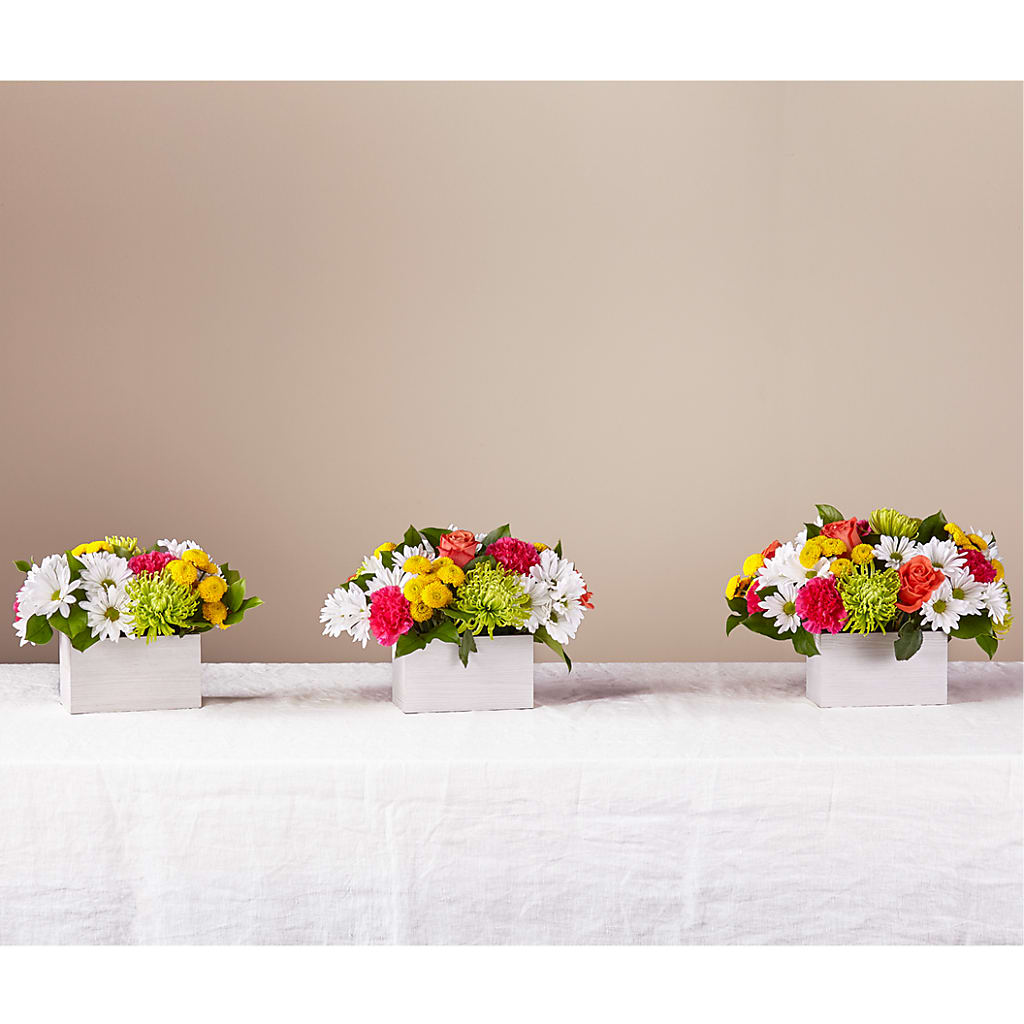 Sorbet Bouquet –  Ecuadorian Central Flower, Minneapolis MN