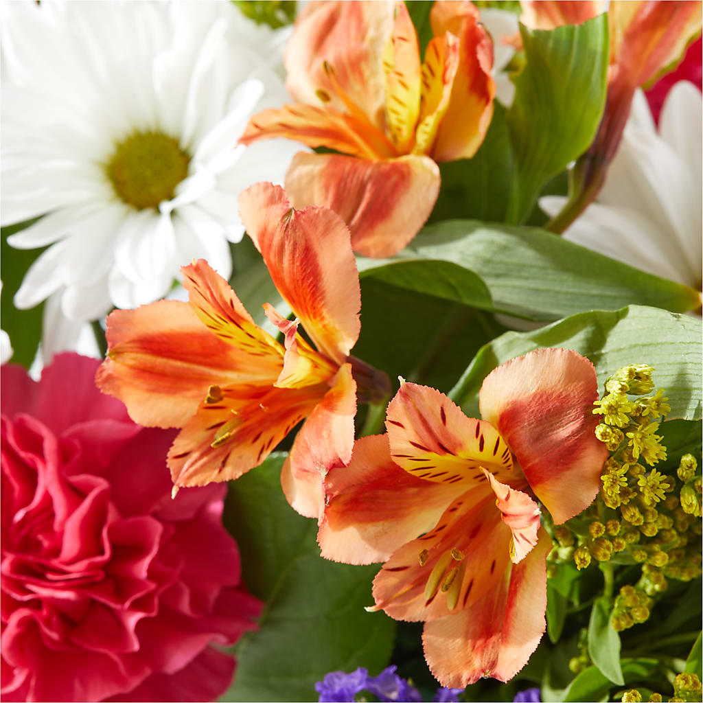 Oopsie Daisy Box Bouquet –  Ecuadorian Central Flower, Minneapolis MN