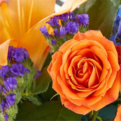 Radiant Citrus Box Bouquet –  Ecuadorian Central Flower, Minneapolis MN