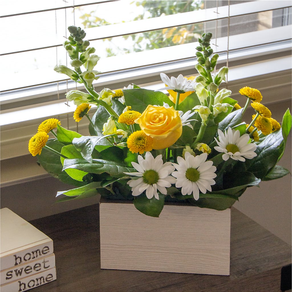 Sun Salutation Box Bouquet –  Ecuadorian Central Flower, Minneapolis MN