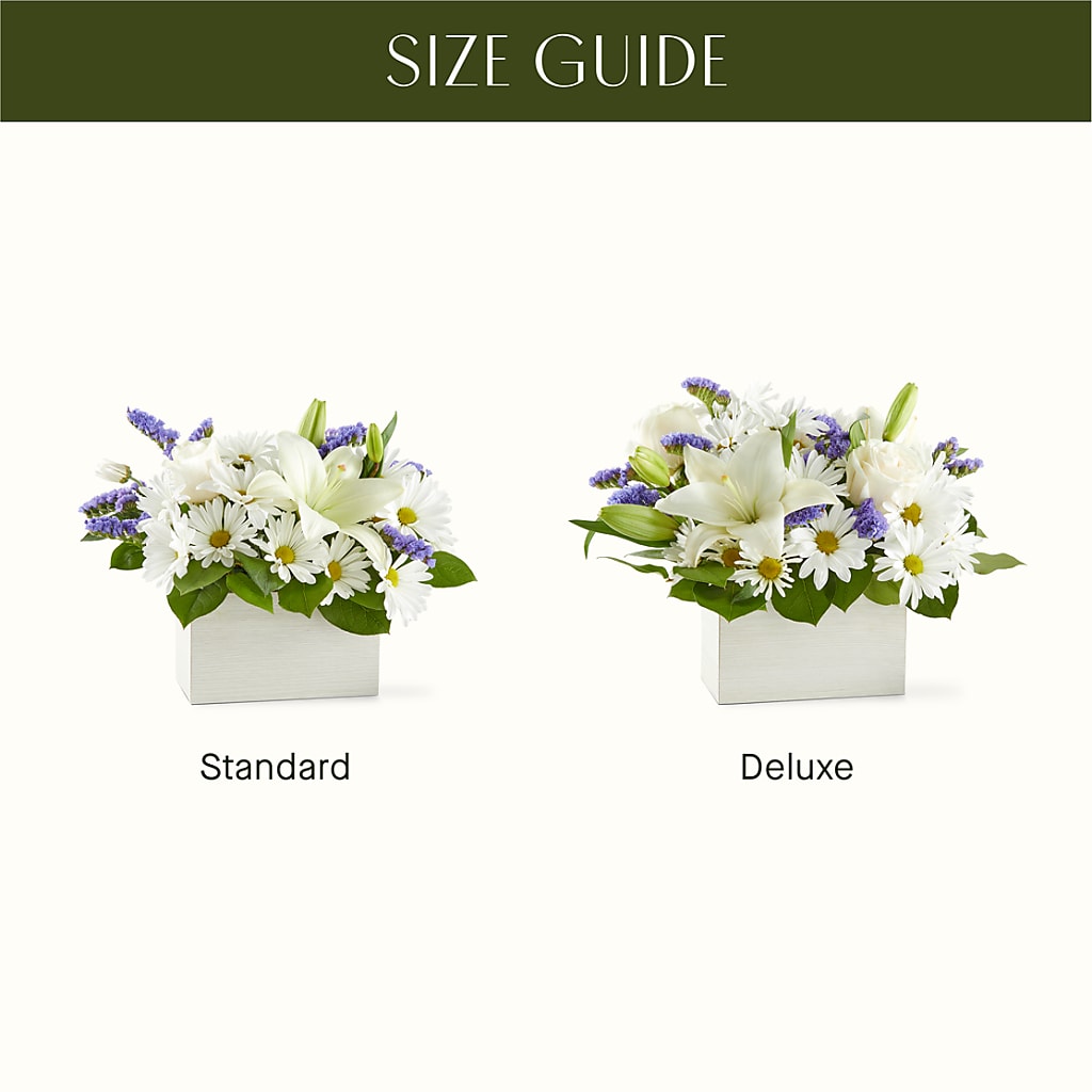 Beyond Blue Box Bouquet –  Ecuadorian Central Flower, Minneapolis MN