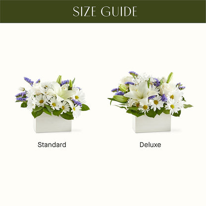 Beyond Blue Box Bouquet –  Ecuadorian Central Flower, Minneapolis MN