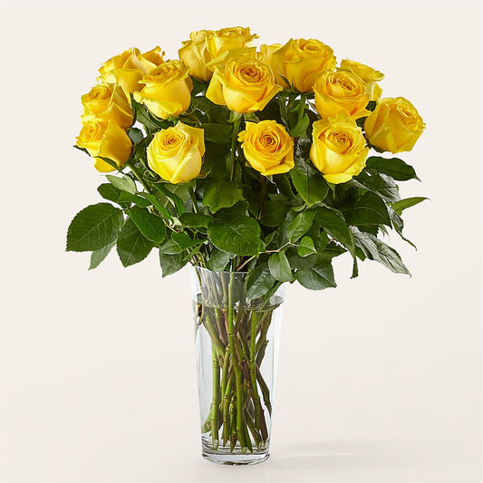 Long Stem Yellow Rose Bouquet – ECUADORIAN CENTRAL FLOWER, Minneapolis MN
